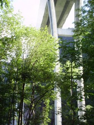 Hoge brug naar Davos