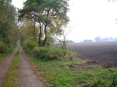 De Geestweg tussen Wildeshausen en Harpstedt