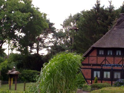 De ooievaars zijn niet thuis