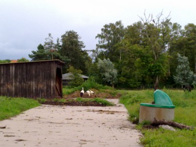 Ze zitten aan de overkant op de mestbult