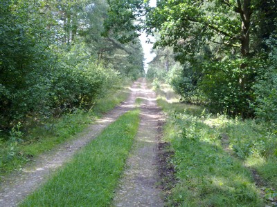 De Lindenerweg naar Uelzen