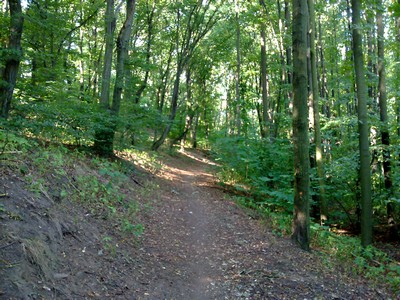 Bosweggetje in Praag