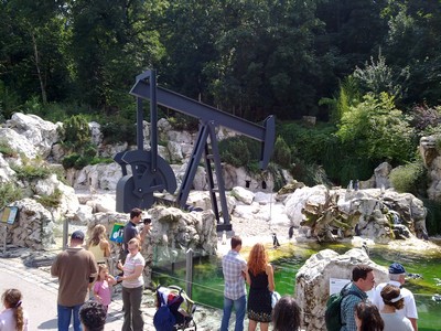 Bohren Pinguine nach &Ouml;l?