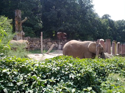 Schneit es im Sommer?