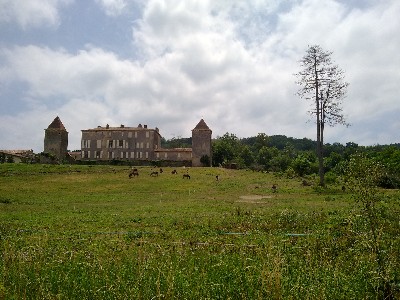 Ezeltjes opvang? Ezeltjes opvang?