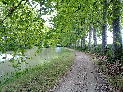 Fietspad langs het Canal du Midi