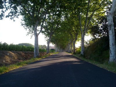 Zie ik daar een bocht? Zie ik daar een bocht?