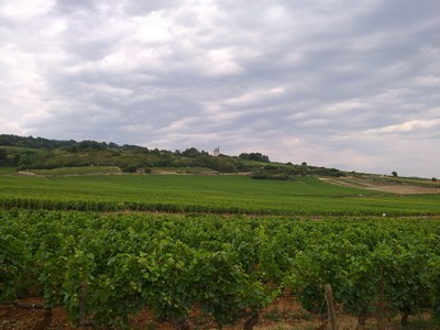 De witte molen aan de voie des vignes