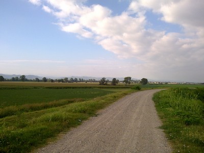 De Po-dijk met in de verte de voorlopers van de Alpen