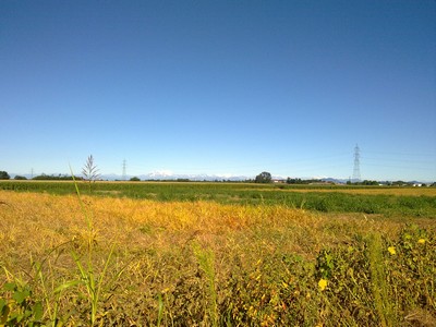 Bij het uitrijden van Milaan al snel een eerste blik op de witte Alpen ver weg
