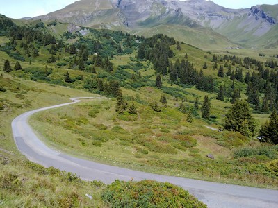De bomen worden al minder, het laatste stuk naar de Große Scheidegg