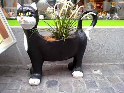 Kattenwinkel in Thun