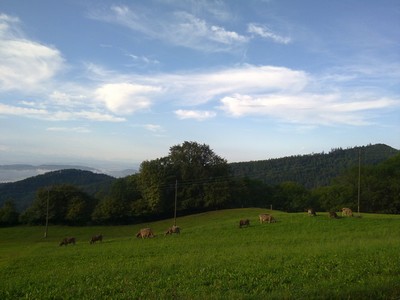 De bergen worden heuvels