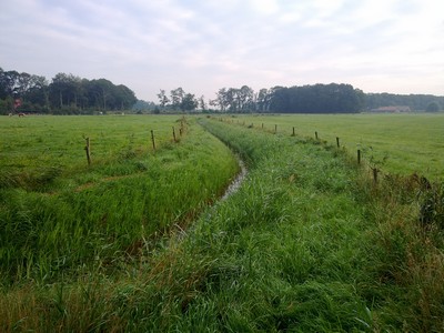 Een slootje tussen Joppe en Harfsen