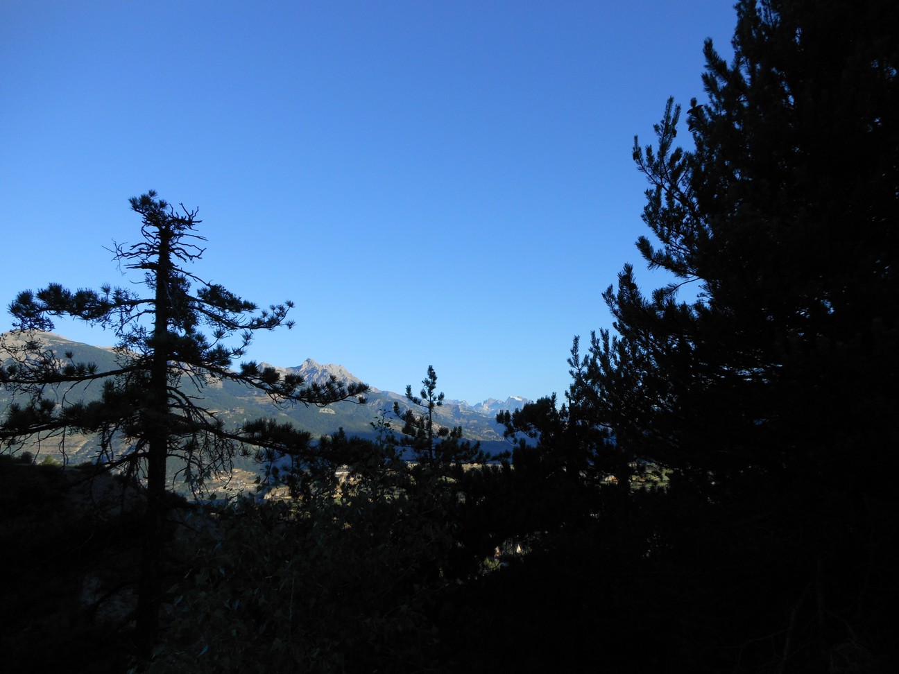 Blik vanuit de schaduwzijde naar de zonzijde