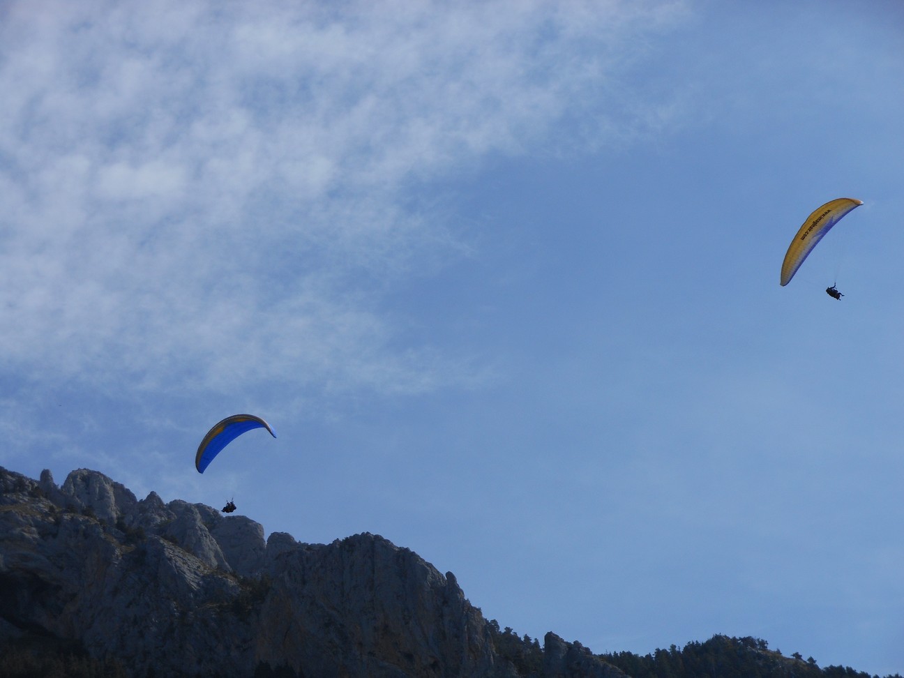 Paragliders
