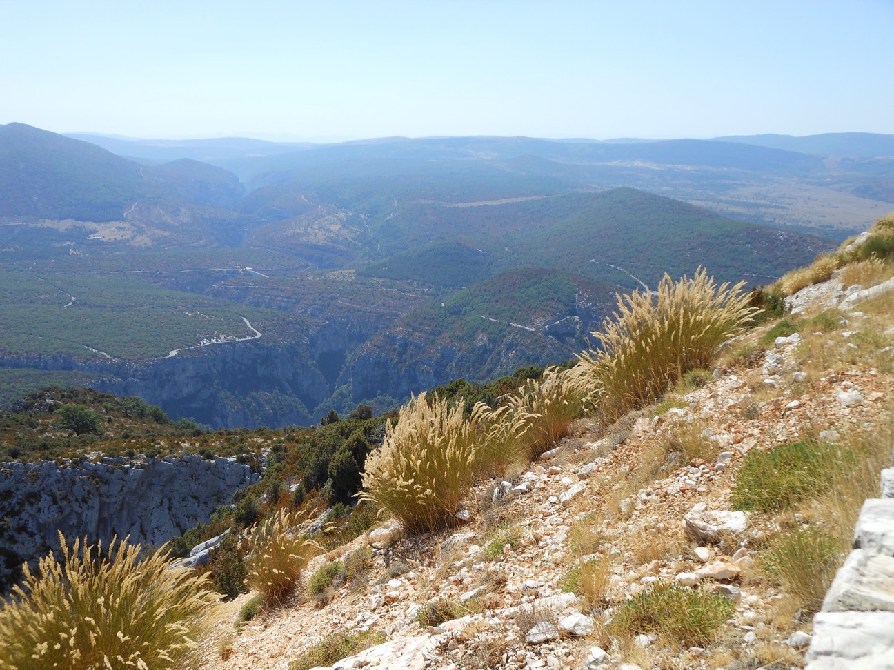 Mooie grasjes langs de helling