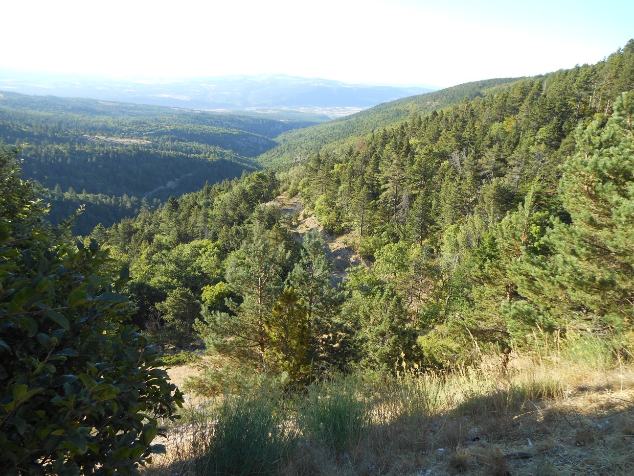 Uitzicht vanuit het eerste deel van de klim, nog in het bos